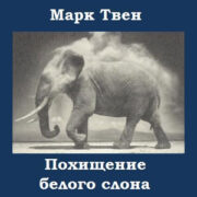 Похищение белого слона (читает Владимир Шевяков)